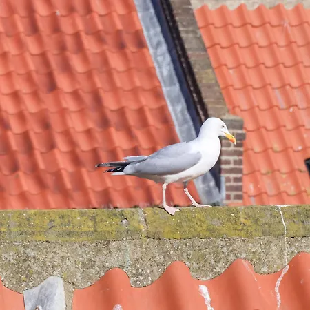 The Four Views * Whitby