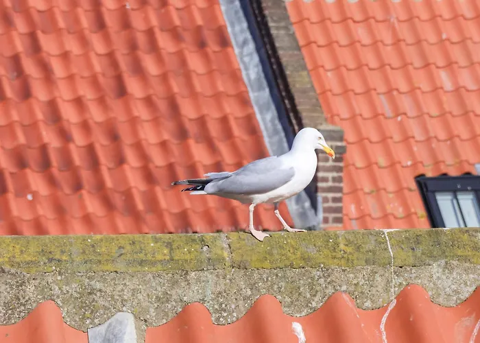 The Four Views * Whitby