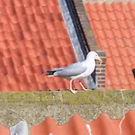 The Four Views * Whitby
